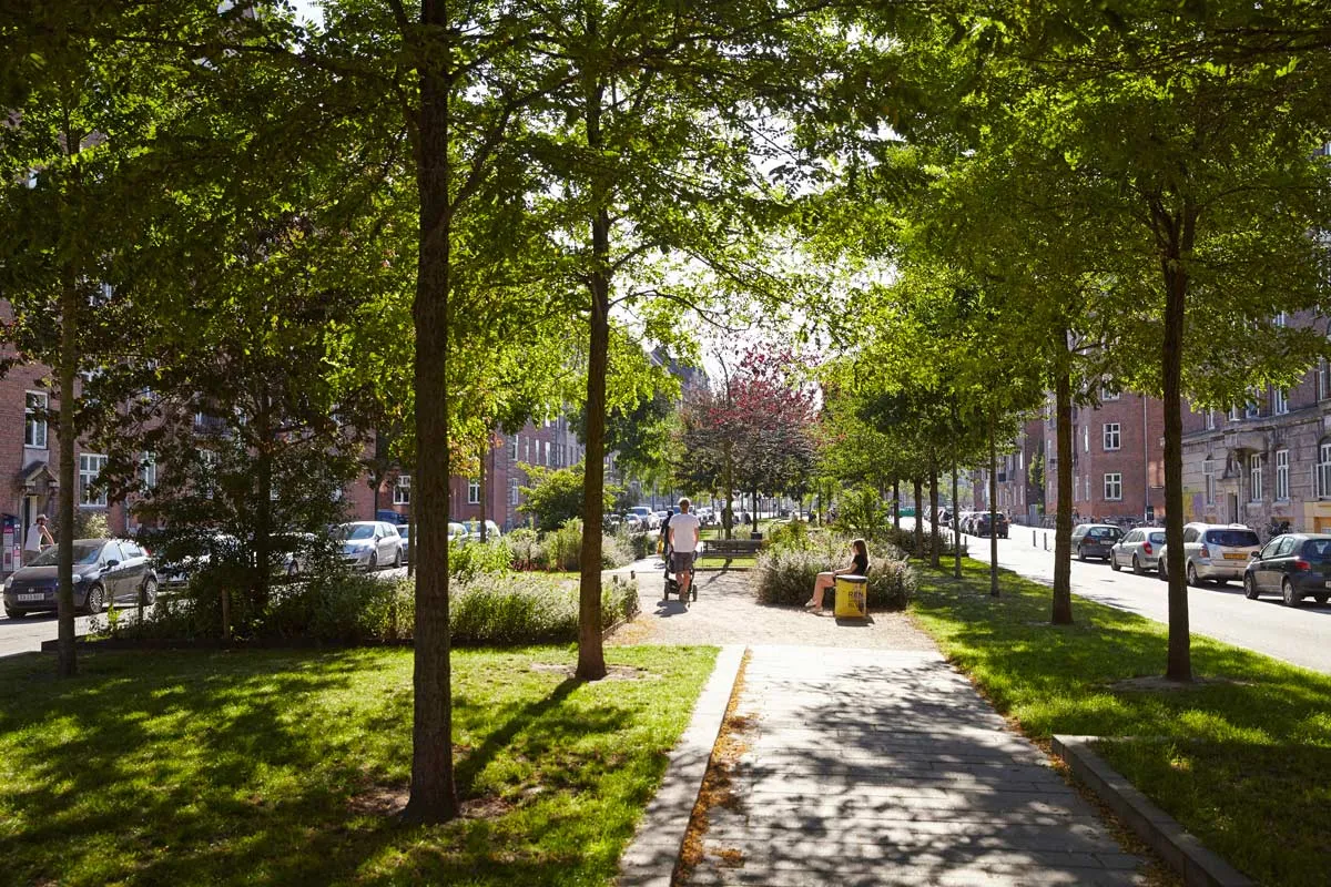 Inspiratie straat met veel groen