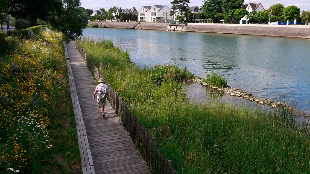 Rivier met gras en steiger